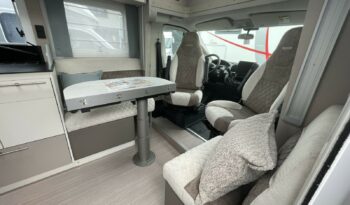 NOTIN VITORIA complet